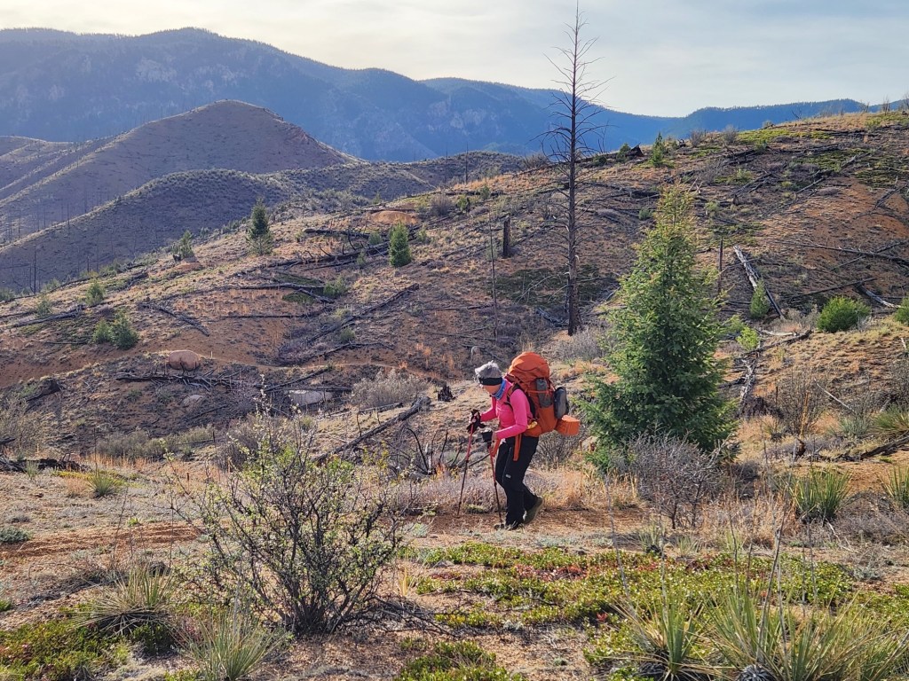 hiking in burn area CT
