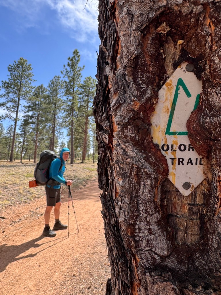 Colorado trail sign on tree with hiker